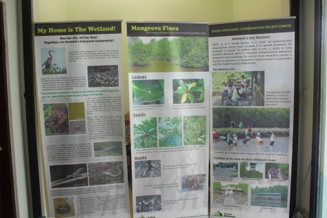 Wetland information lessons