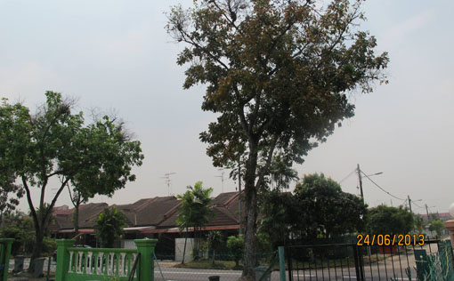 Haze condition in Tama Suria, Johor Bahru (12:30pm). Photo by Lee-Jean.