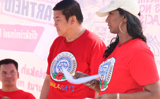 bmmb mini picket-4