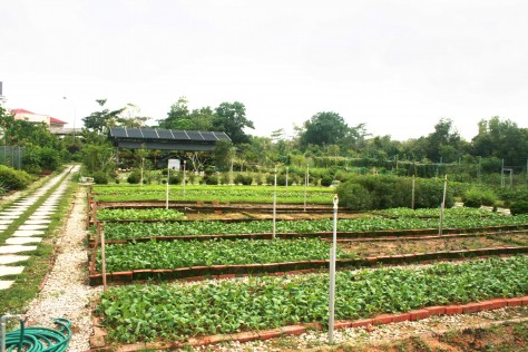 Gardening is one of the many activities undertaken by the trainees at the centre