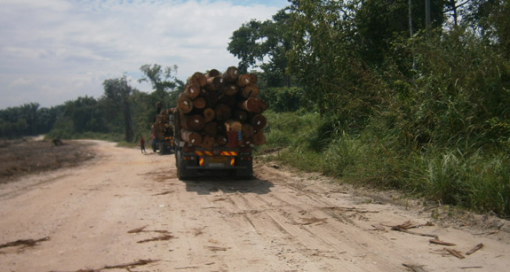 180614TimberLorry