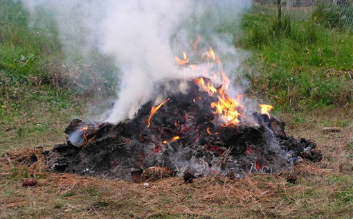 Open Burning Haze Malaysia