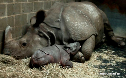 Tashi-and-baby-Monica