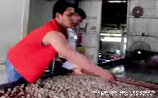 Indonesian Presidential Election Video 1