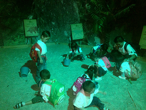 Discovering fossils