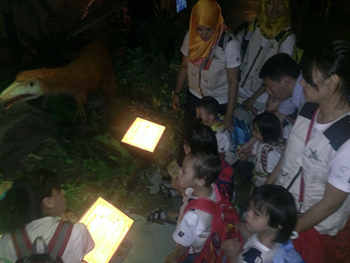 Learning about dinosaurs and their eggs from a KDSF teacher