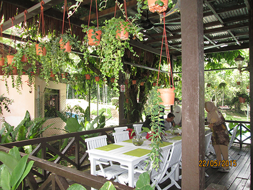 Lunch in the middle of the jungle