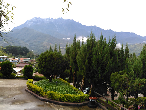 Pine Resort