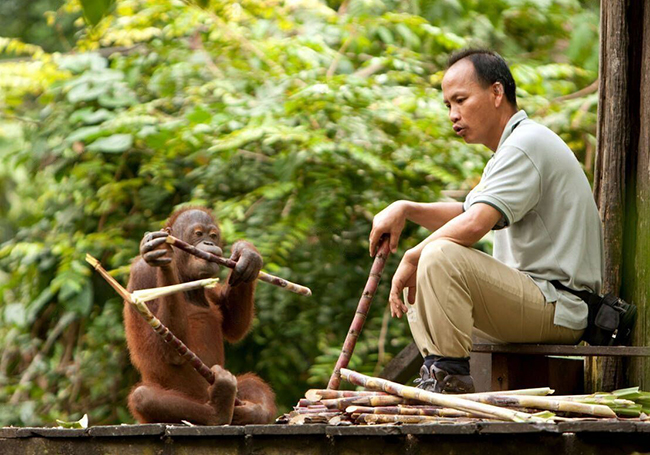 World forest ranger day