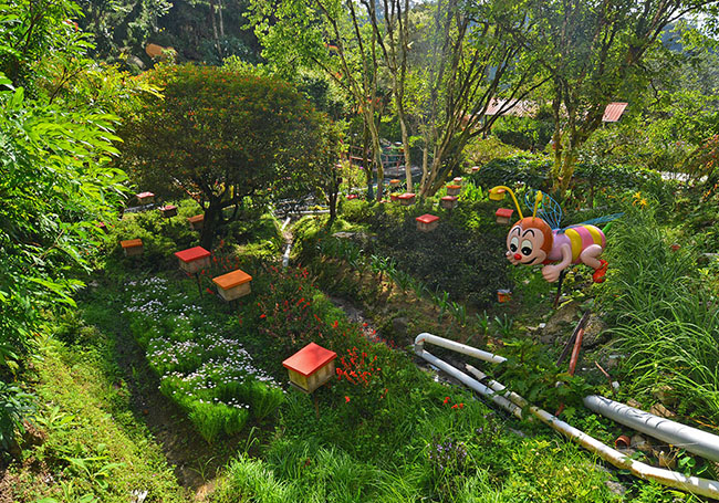 Cameron Highlands: The perfect weekend getaway
