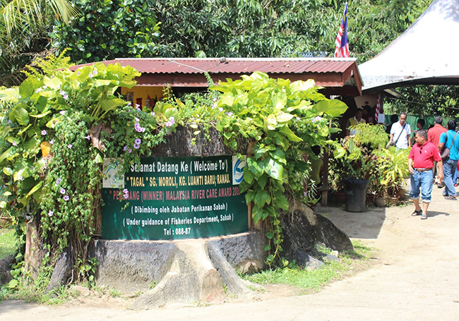 Unique Tagal system 