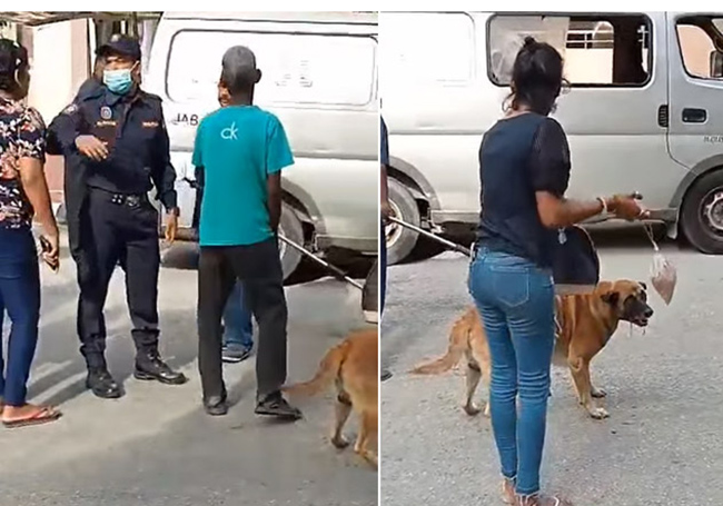 Majlis Perbandaran Klang animal shelters