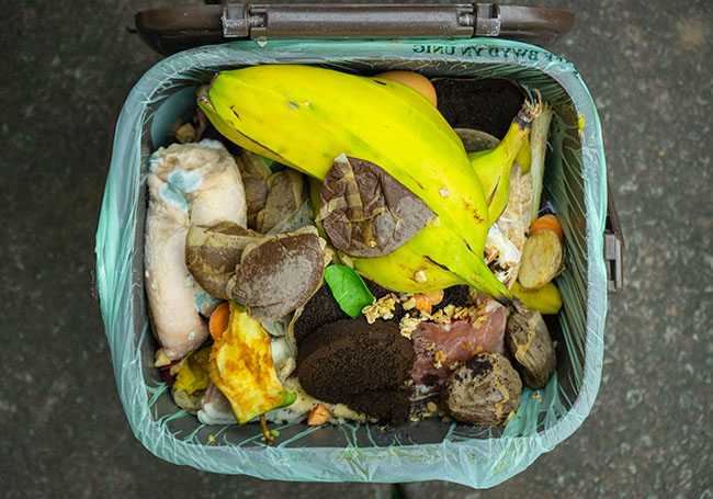 crack the whip on food wastage