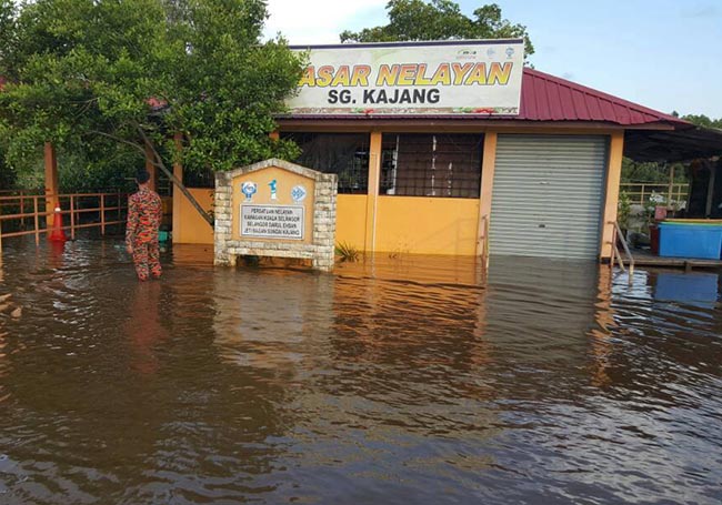 high tide phenomenon