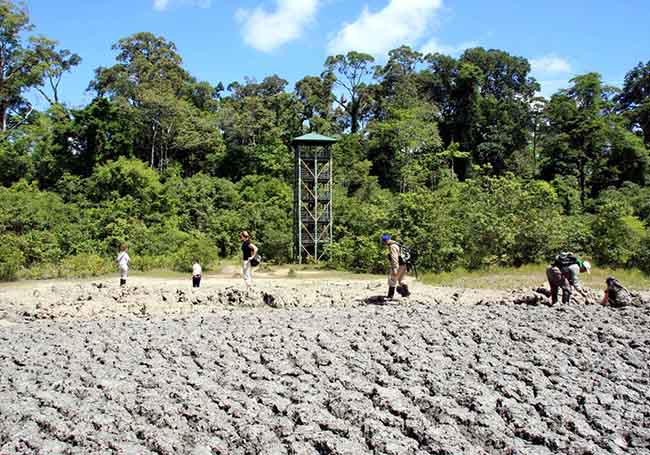 Mud volcano Tabin Wildlife Park