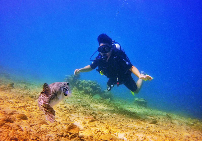 Tourism Malaysia highlights scuba diving to attract tourists