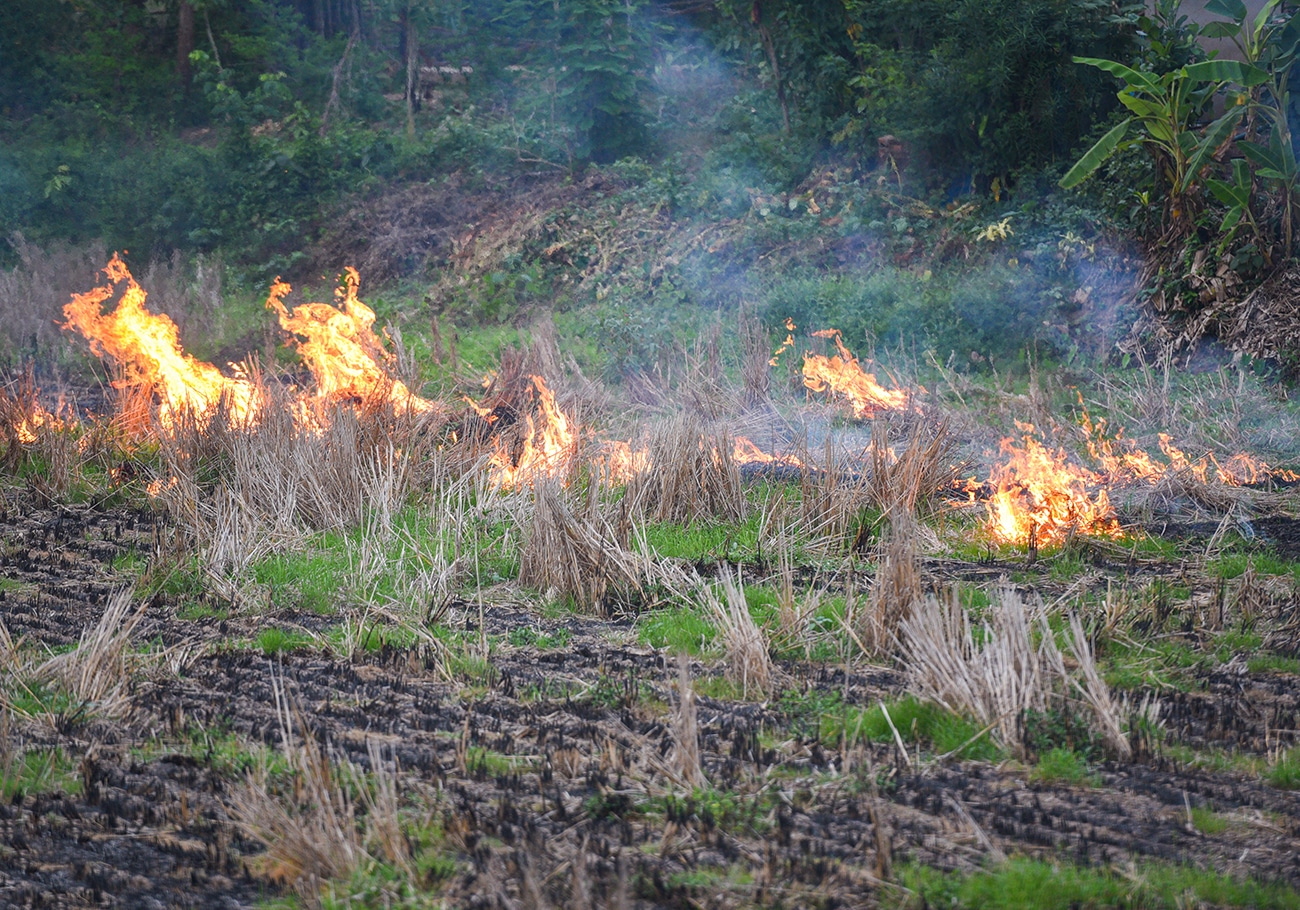 El Nino set to worsen haze crisis in Southeast Asia