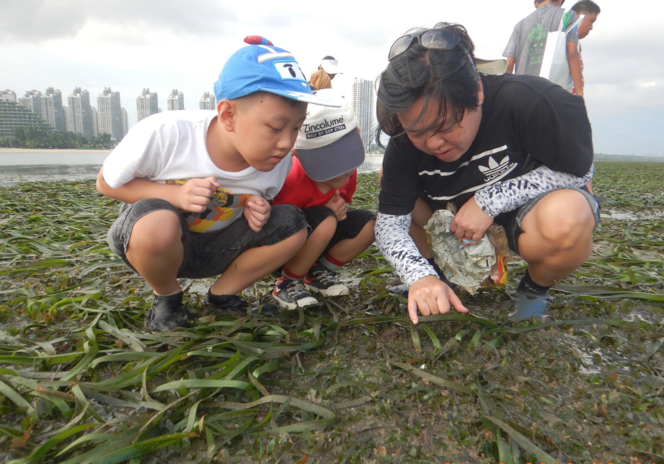 Heroes of the Straits: Monitoring a precious ecosystem