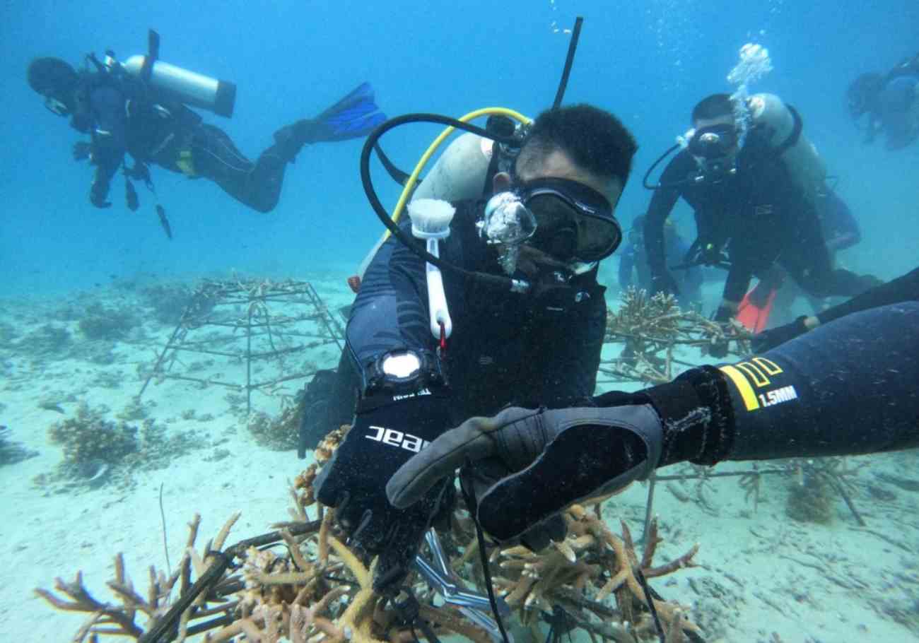 From soup kitchen to coral reefs: Ihsan Johor's sustainable impact