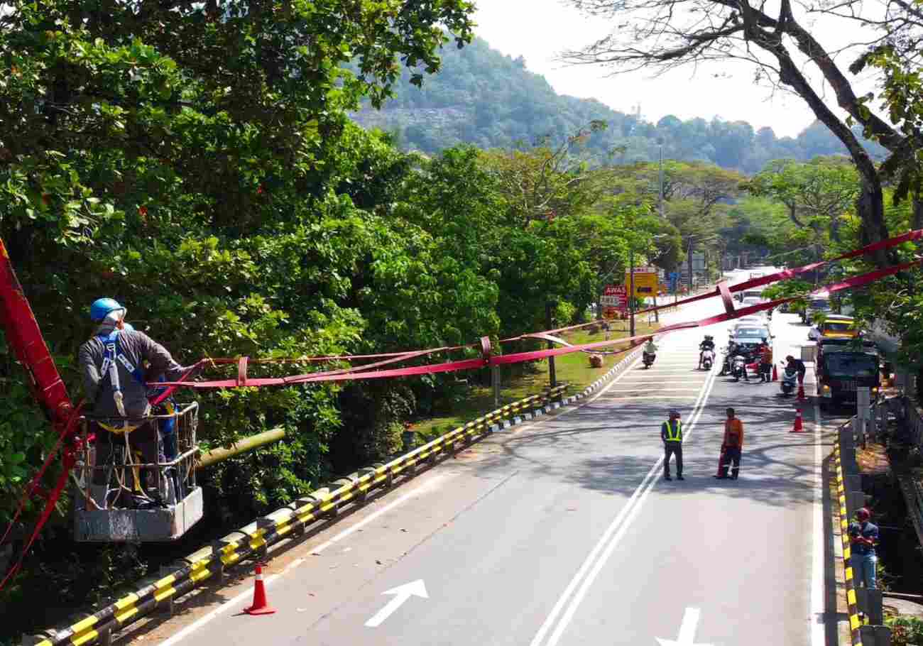 ‘Numi’s Crossing’, the first residential animal crossing has been successfully installed on 6 January 2024 at Lembah Permai in Tanjung Bungah, Penang by Langgur Project Penang (LPP)