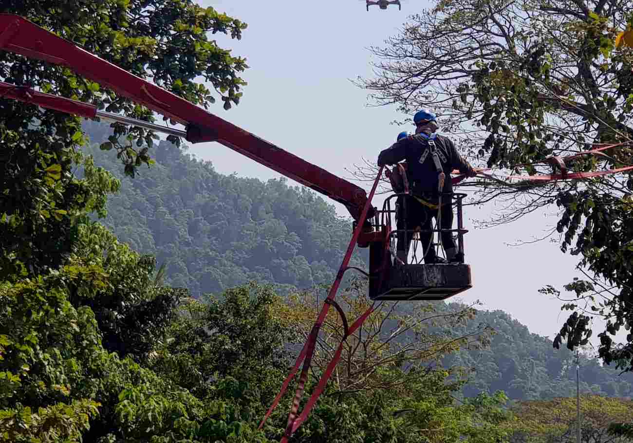 ‘Numi’s Crossing’, the first residential animal crossing has been successfully installed on 6 January 2024 at Lembah Permai in Tanjung Bungah, Penang by Langgur Project Penang (LPP)