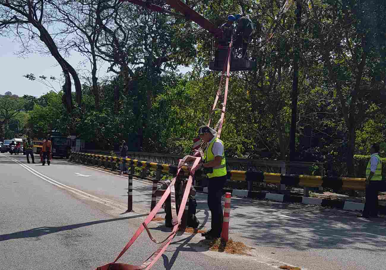‘Numi’s Crossing’, the first residential animal crossing has been successfully installed on 6 January 2024 at Lembah Permai in Tanjung Bungah, Penang by Langgur Project Penang (LPP)