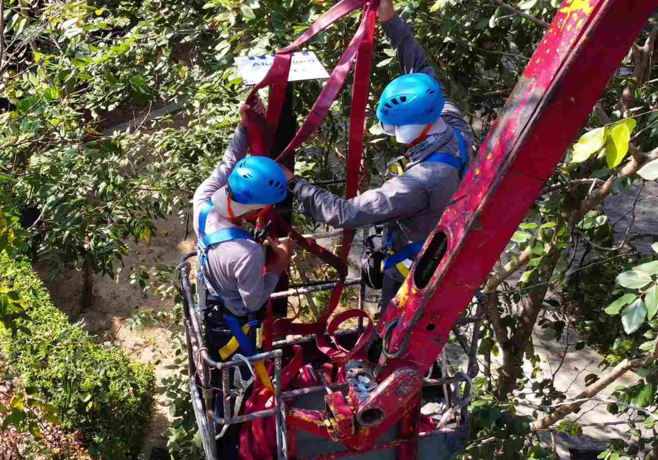 ‘Numi’s Crossing’, the first residential animal crossing has been successfully installed on 6 January 2024 at Lembah Permai in Tanjung Bungah, Penang by Langgur Project Penang (LPP)