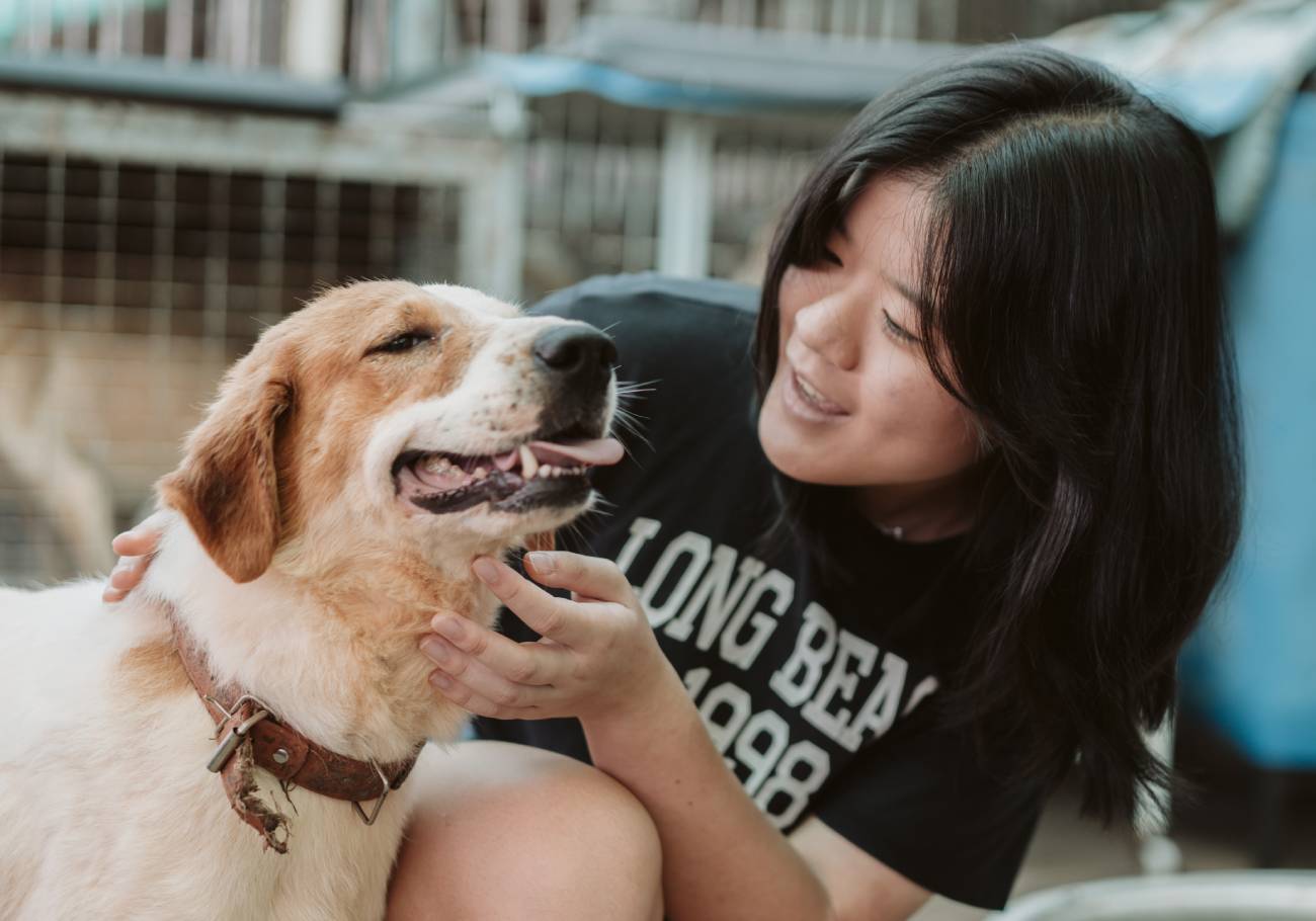 The Butterworth Fur Kids’ Home (BFKH), a no-kill animal shelter in Juru, urgently seeks funding to construct a new and larger shelter on an adjacent plot of land. 