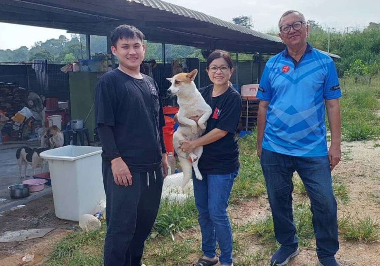 Save The Strays Team: Saving strays, one tail at a time