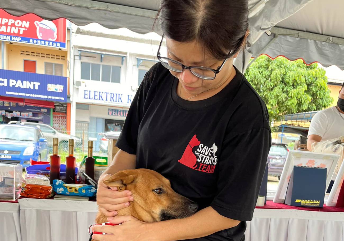 Save The Strays Team: Saving strays, one tail at a time