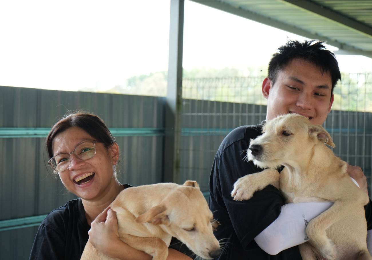 Save The Strays Team: Saving strays, one tail at a time