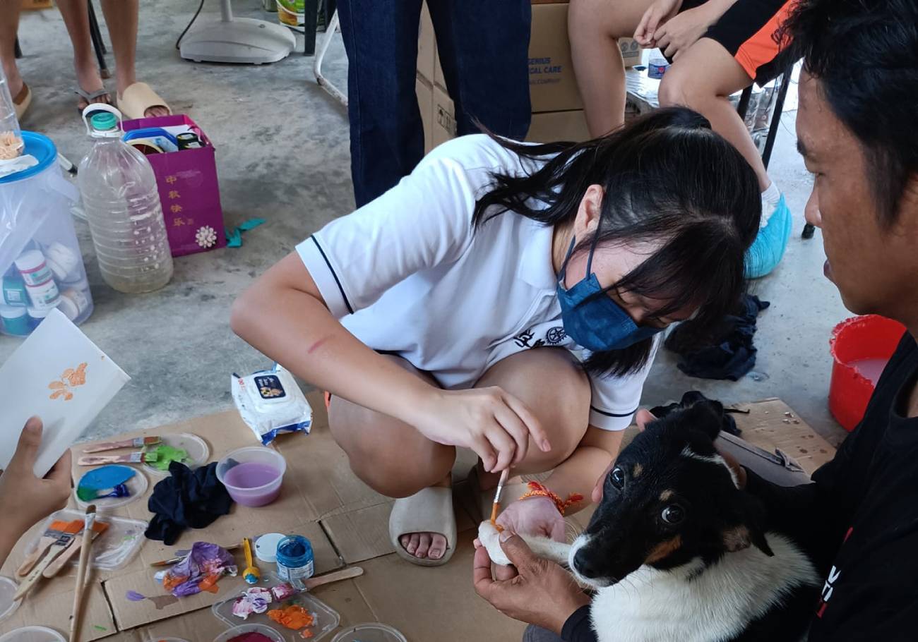 Save The Strays Team: Saving strays, one tail at a time