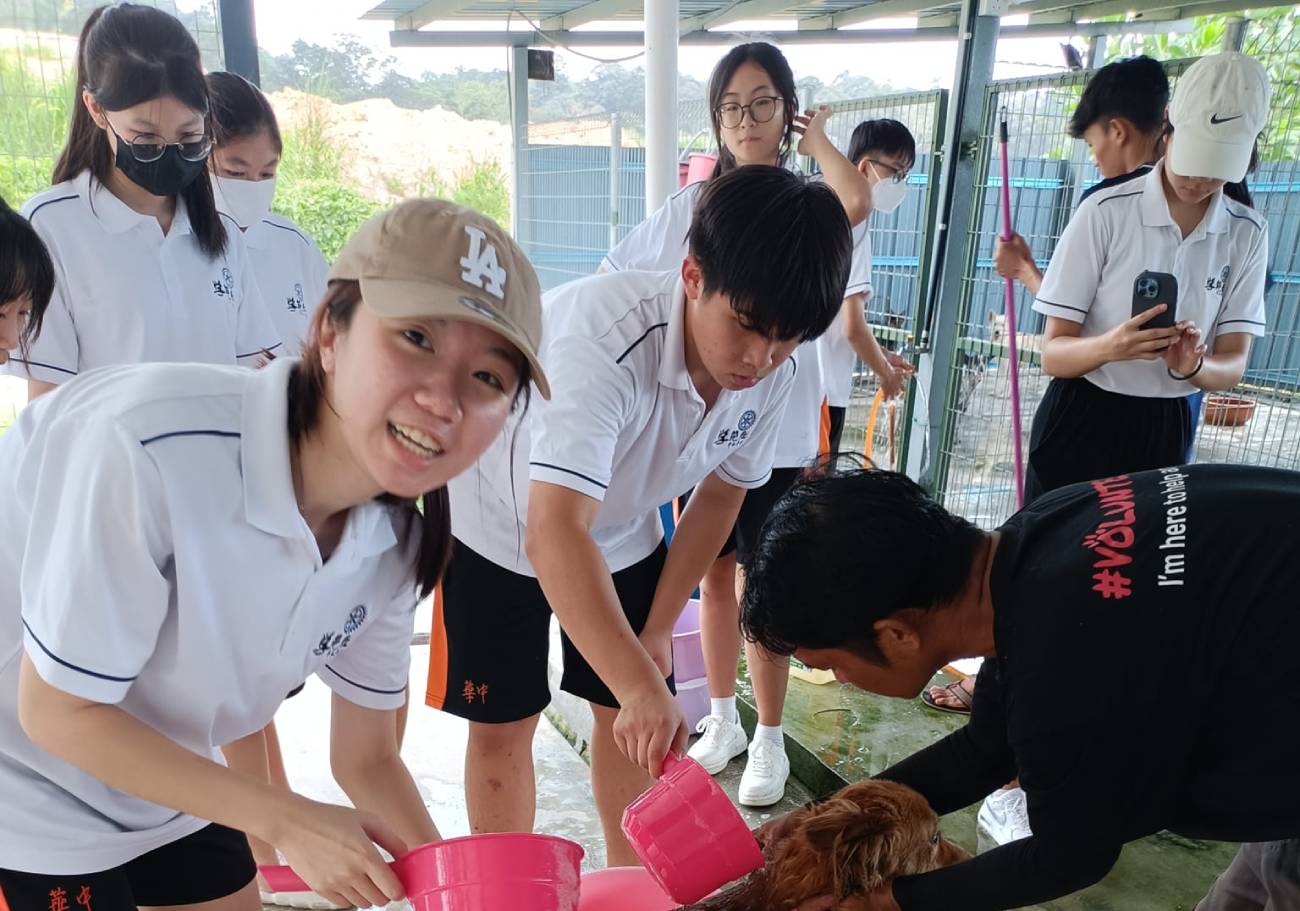 Save The Strays Team: Saving strays, one tail at a time