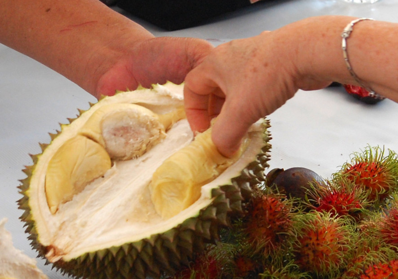 Penang gears up for a bountiful three-wave durian season