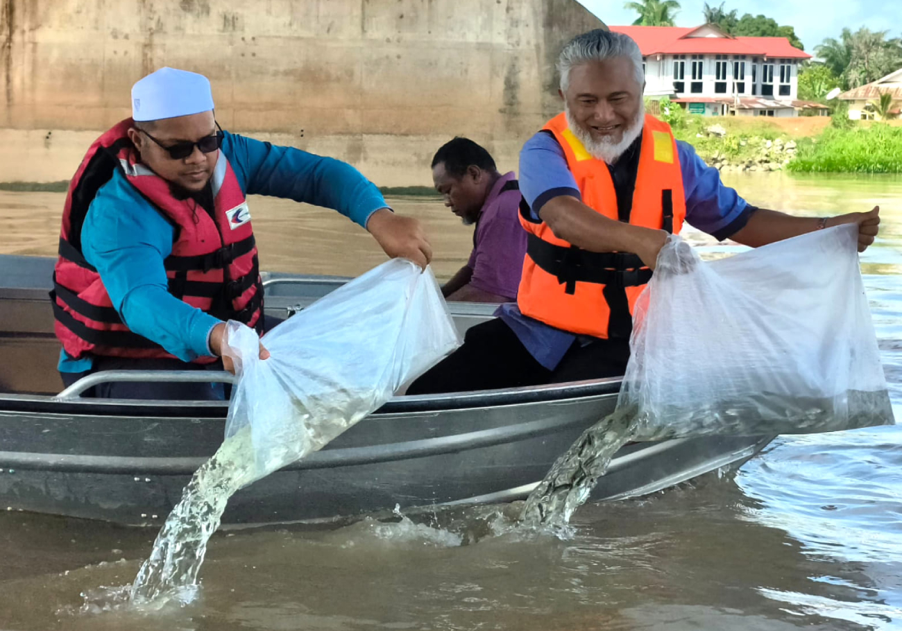 Permits required for releasing fish into Perak inland waters