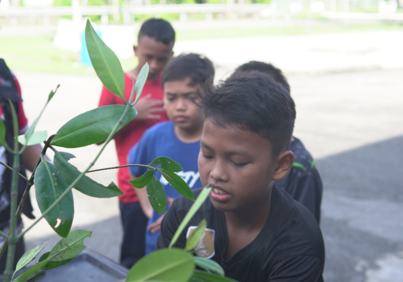 Social Hero Foundation hosts mangrove planting initiative