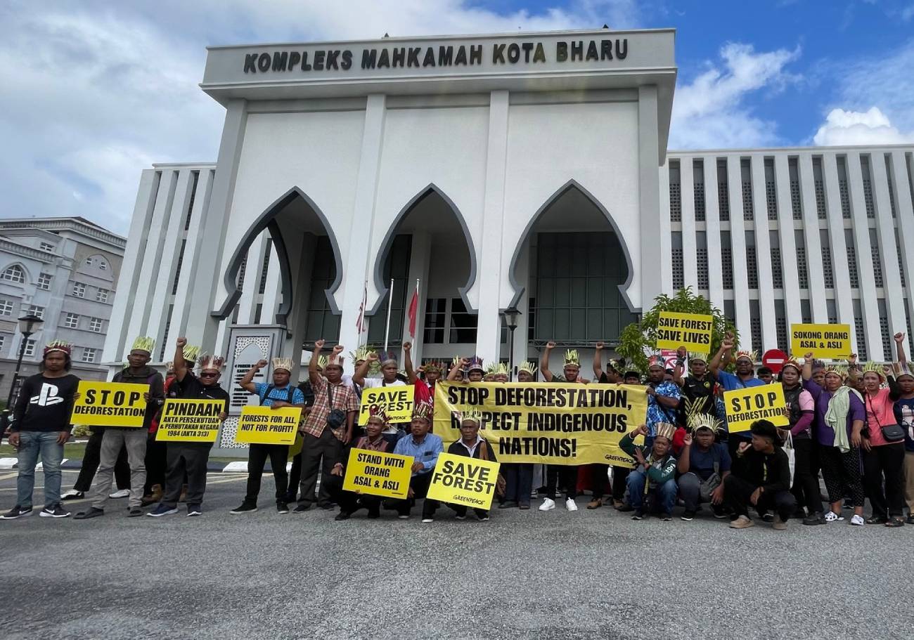 Fierce Orang Asli Kelaik fight sparks land rights hope